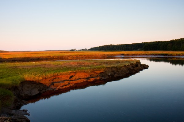 Scarborough Maine - Marsh